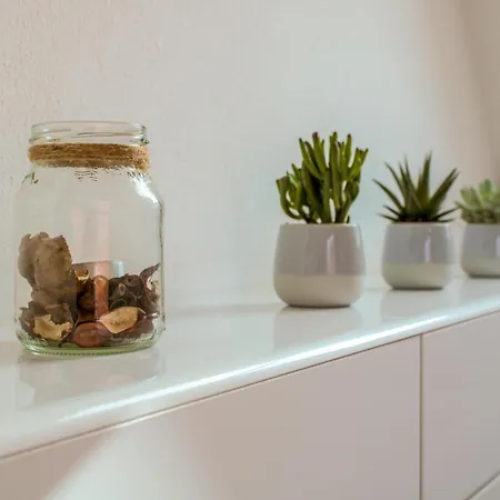 Schmidt * קושהאבן