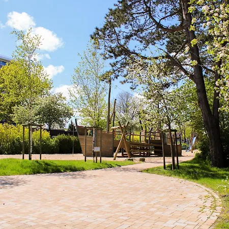 Schmidt * קושהאבן